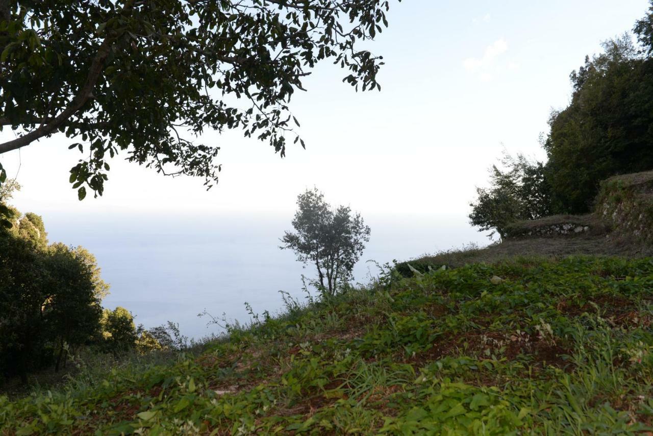 A Due Passi Dalla Costiera Agerola Exterior photo